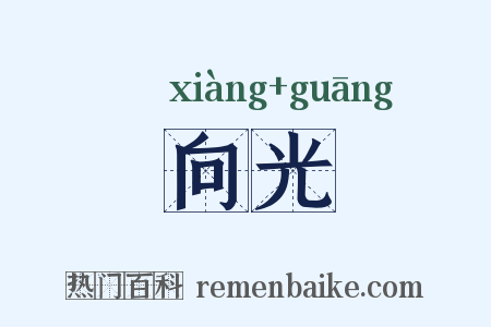 向光是什么意思的图片